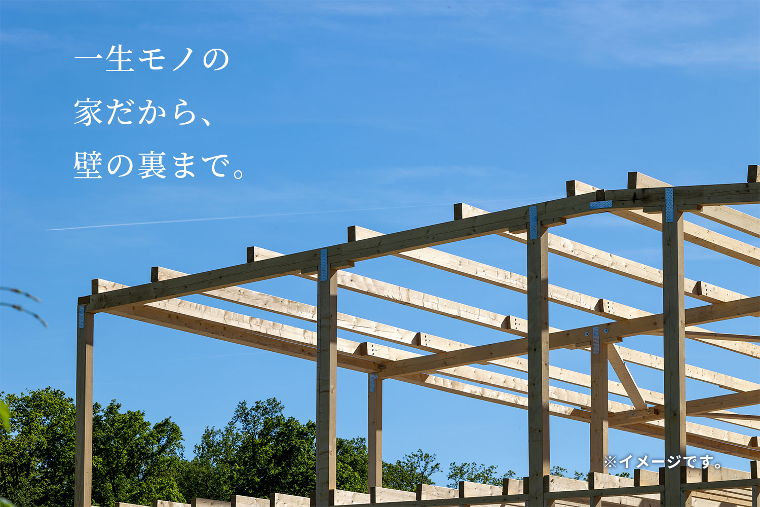 リビング画像